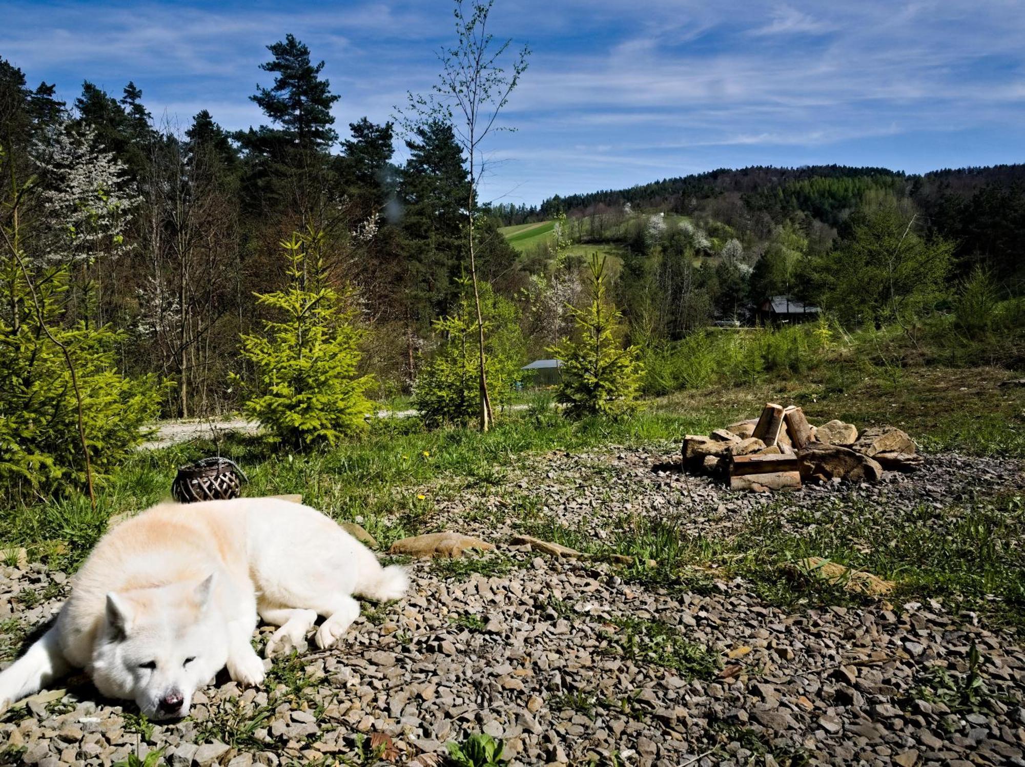 MILOCHATA OSADA PTOSEK BIESZCZADY ≡ Поляньчик, Польша ≡ Lowest Booking  Rates For Milochata Osada Ptosek Bieszczady in Поляньчик, Отзывы